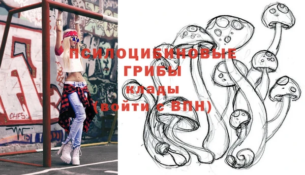 прущий лед Алексин