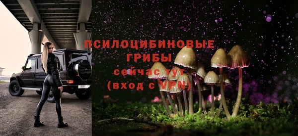 соль курить ск Алексеевка