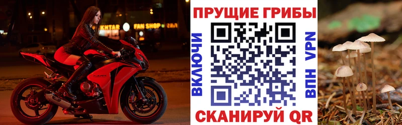 Галлюциногенные грибы прущие грибы  Воткинск 