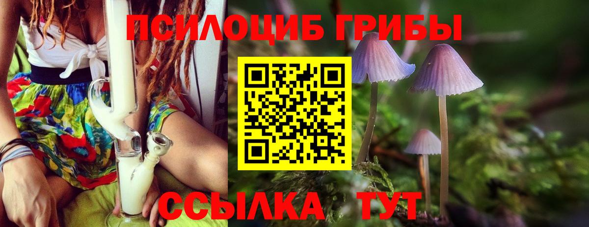 Псилоцибиновые грибы Magic Shrooms  Вход с VPN  Галлюциногенные грибы MAGIC MUSHROOMS  купить наркотик  Воткинск 