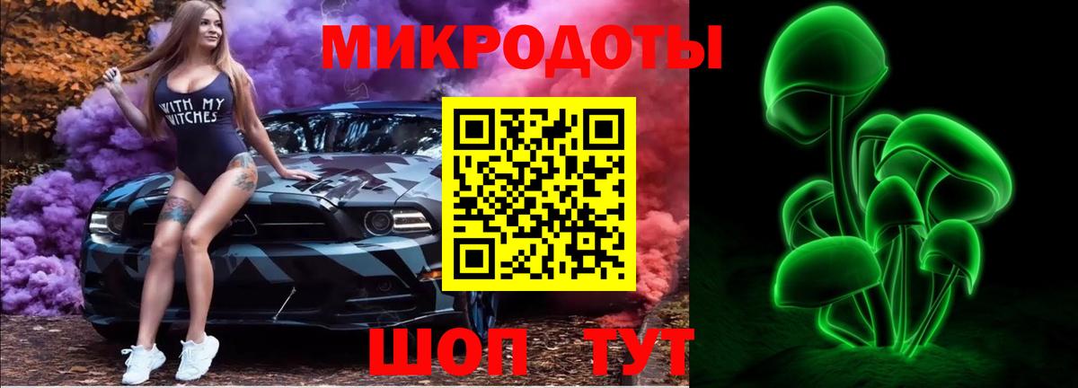 Псилоцибиновые грибы Psilocybe Воткинск